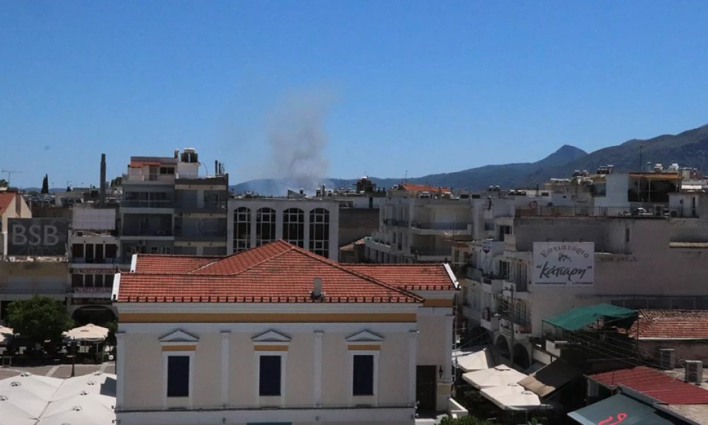 Πυρκαγιά σε γεωργική έκταση στην Παλαιοπαναγιά Σπάρτης